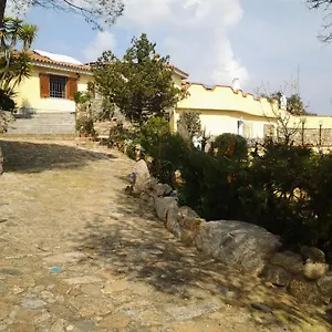 La Fonte Dell'ulivo 3 Bed & Breakfast
